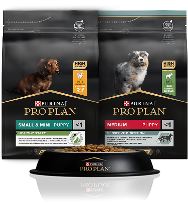 🐶 Darmowa karma dla psa - Purina Pro Plan dla szczeniąt! Zgarnij 3 kg za 0 zł i podziel się opinią! 🎁